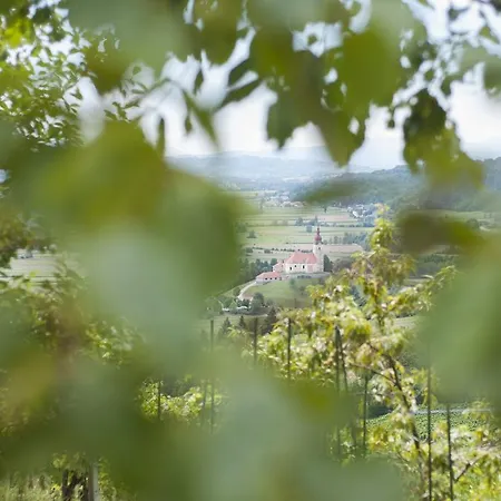 Landhuis Srcek With Two Bedrooms And Vineyard View Bizeljsko
