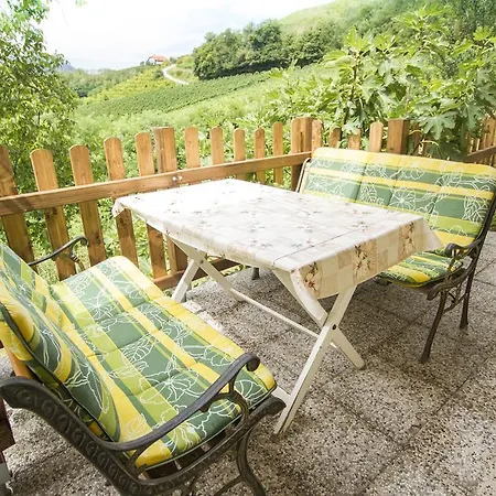Srcek With Two Bedrooms And Vineyard View * Bizeljsko