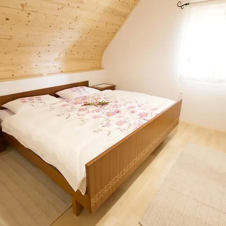 Country house Srcek With Two Bedrooms And Vineyard View Bizeljsko