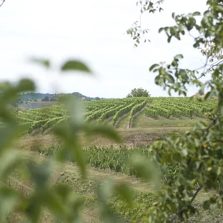 Srcek With Two Bedrooms And Vineyard View * Bizeljsko