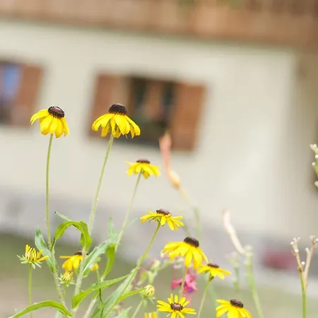 Srcek With Two Bedrooms And Vineyard View Bizeljsko